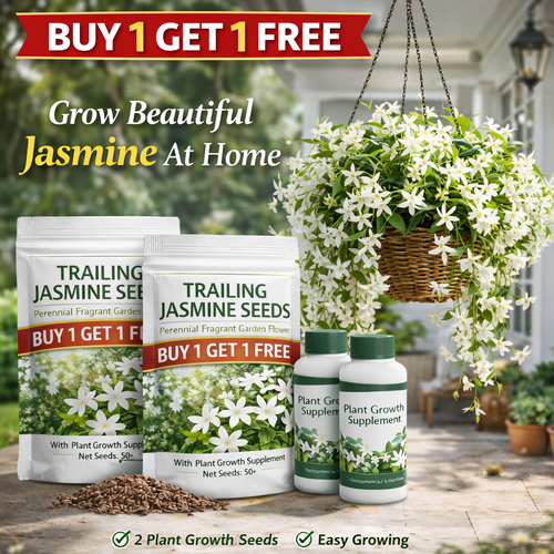 Buy 1 Get 1 Free Trailing Jasmine Seeds + Growth Booster (Fragrant, Long-Lasting Blooms)