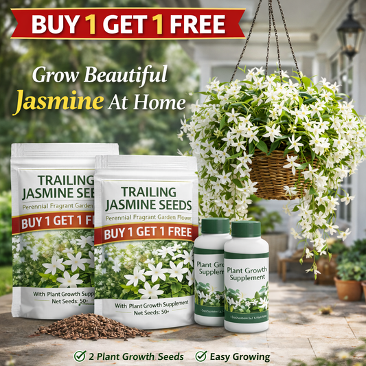 Buy 1 Get 1 Free Trailing Jasmine Seeds + Growth Booster (Fragrant, Long-Lasting Blooms)