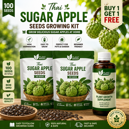 Thai Sugar Apple Seeds Growing Kit 🌱 Buy 1 Get 1 Free