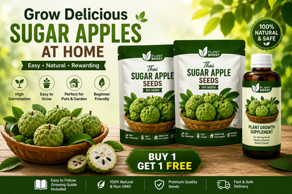 Thai Sugar Apple Seeds Growing Kit 🌱 Buy 1 Get 1 Free
